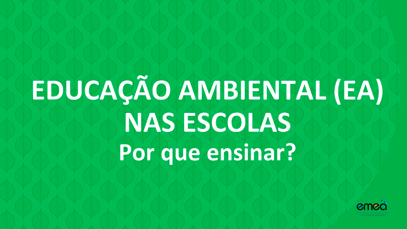 Educação ambiental (EA) nas escolas. Por que ensinar?
