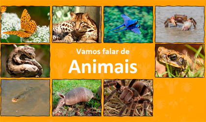 Vamos falar de animais
