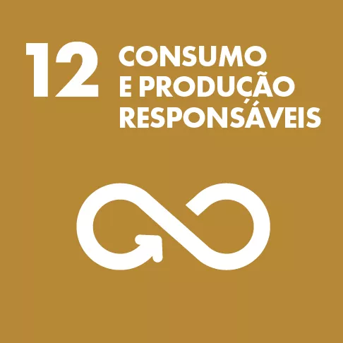 Consumo e Produção Responsáveis