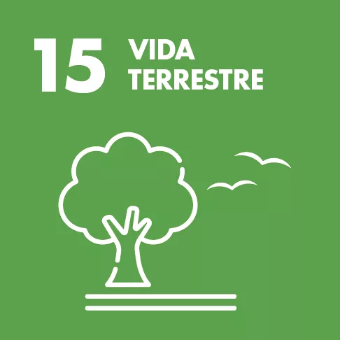 Vida Terrestre